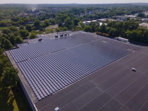 Colavita oil Solar installation